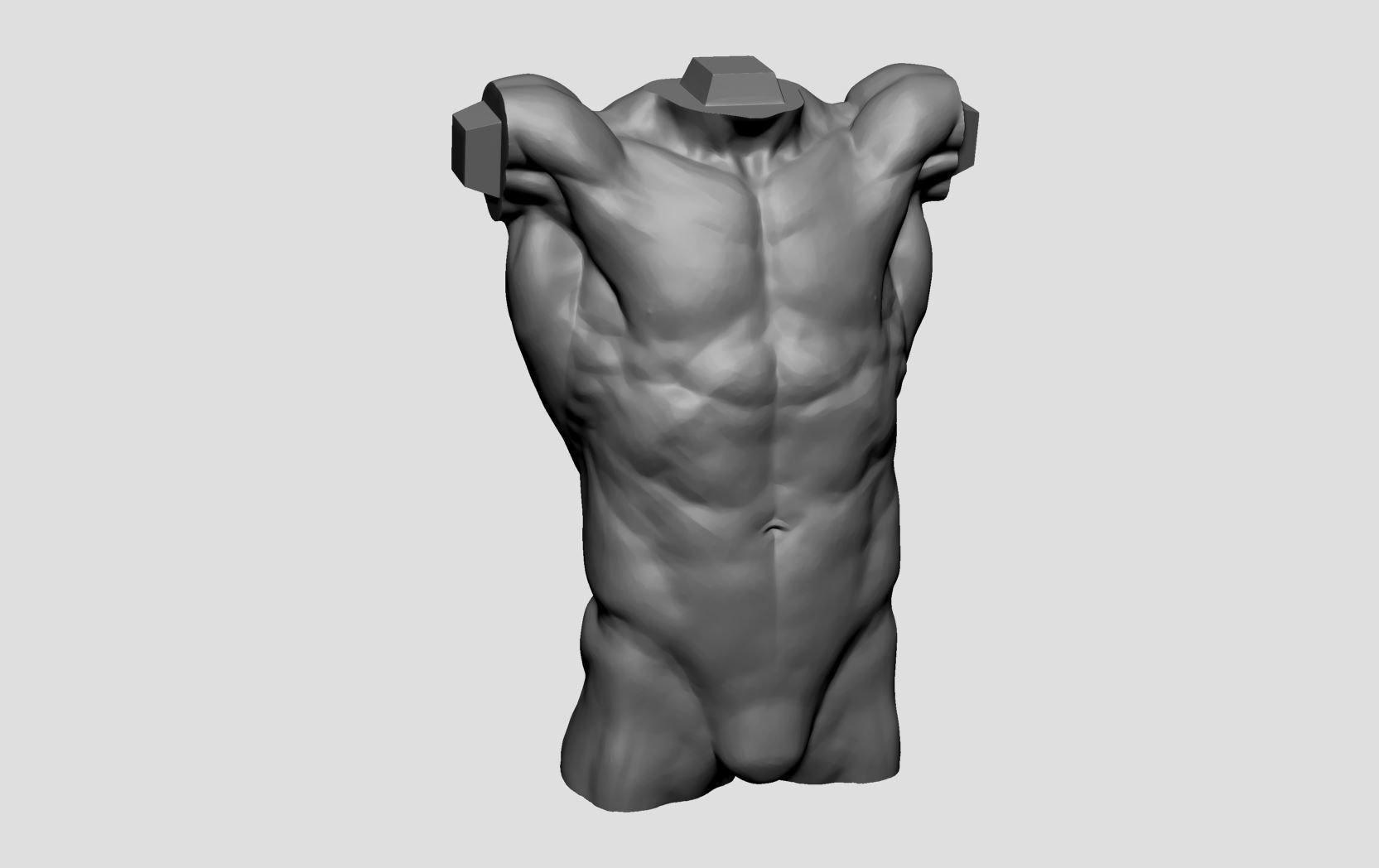 Human Anatomy Printable A 3D print model_8