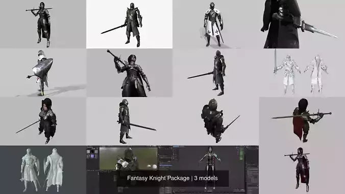 Fantasy Knight Package 3D Model Collection