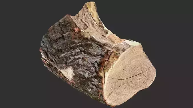 A peeling piece of wood 3d scan in highpoly