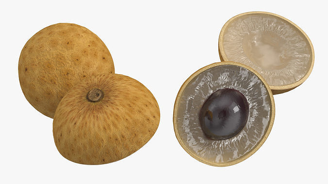 Realistic Half Cut Longan Fruit 3D model 7