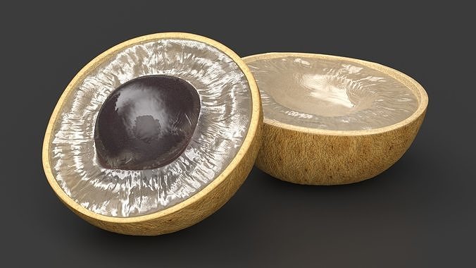 Realistic Half Cut Longan Fruit 3D model 4