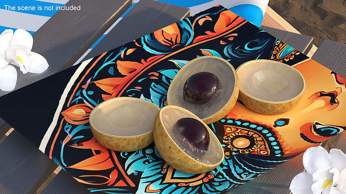 Realistic Half Cut Longan Fruit 3D model 3