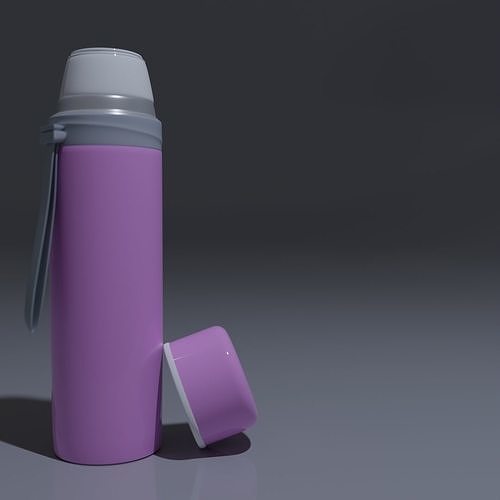 Water Flask Free 3D model