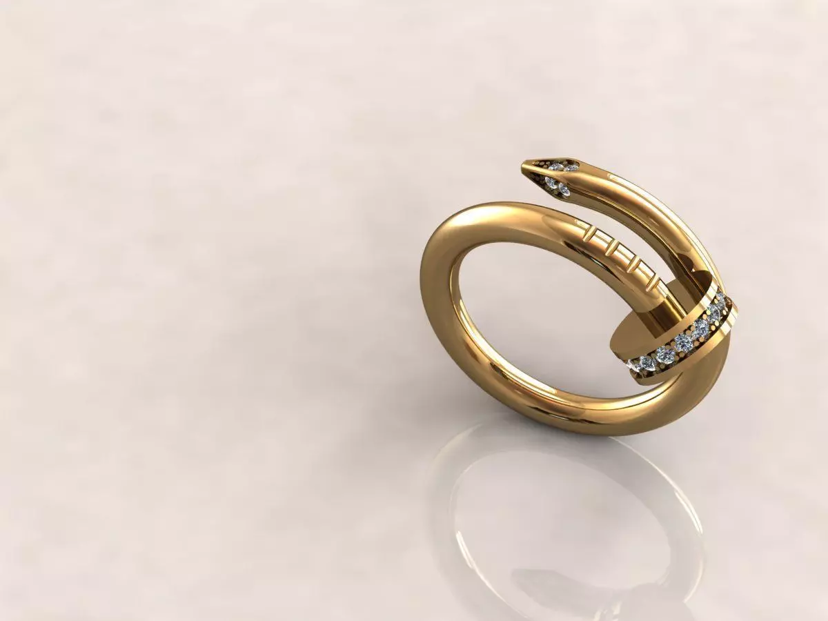 Juste Un Clou RING 1 3D print model_0