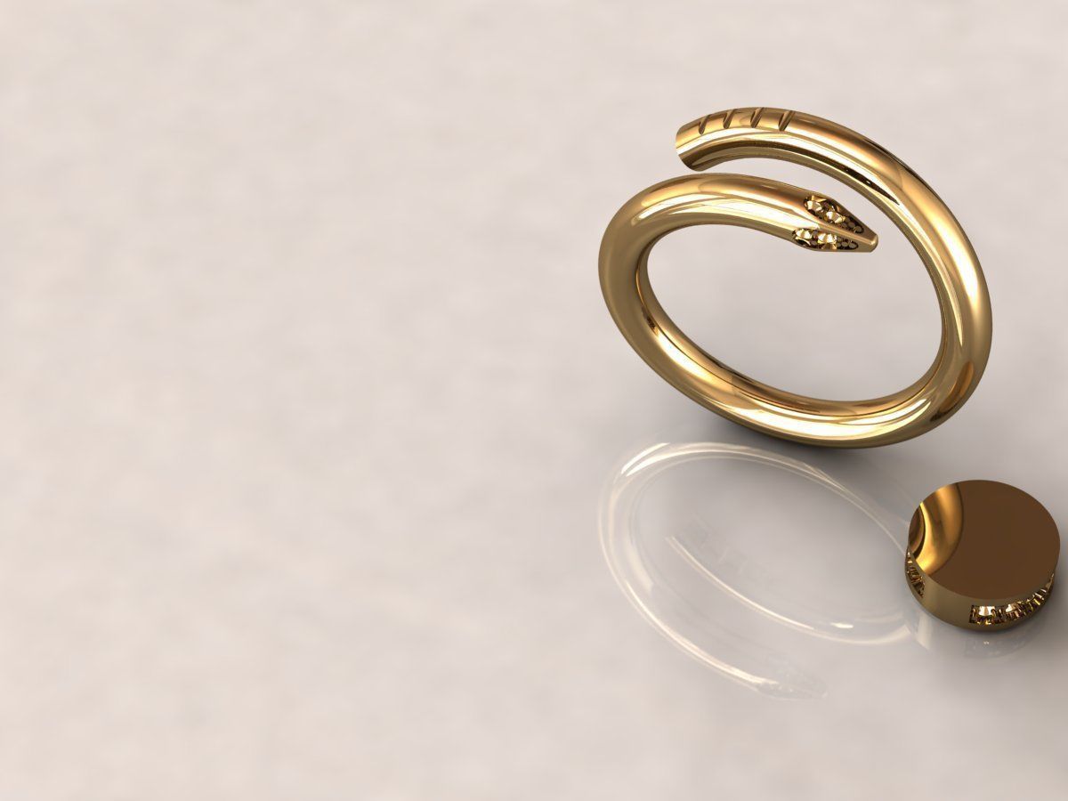 Juste Un Clou RING 1 3D print model_15