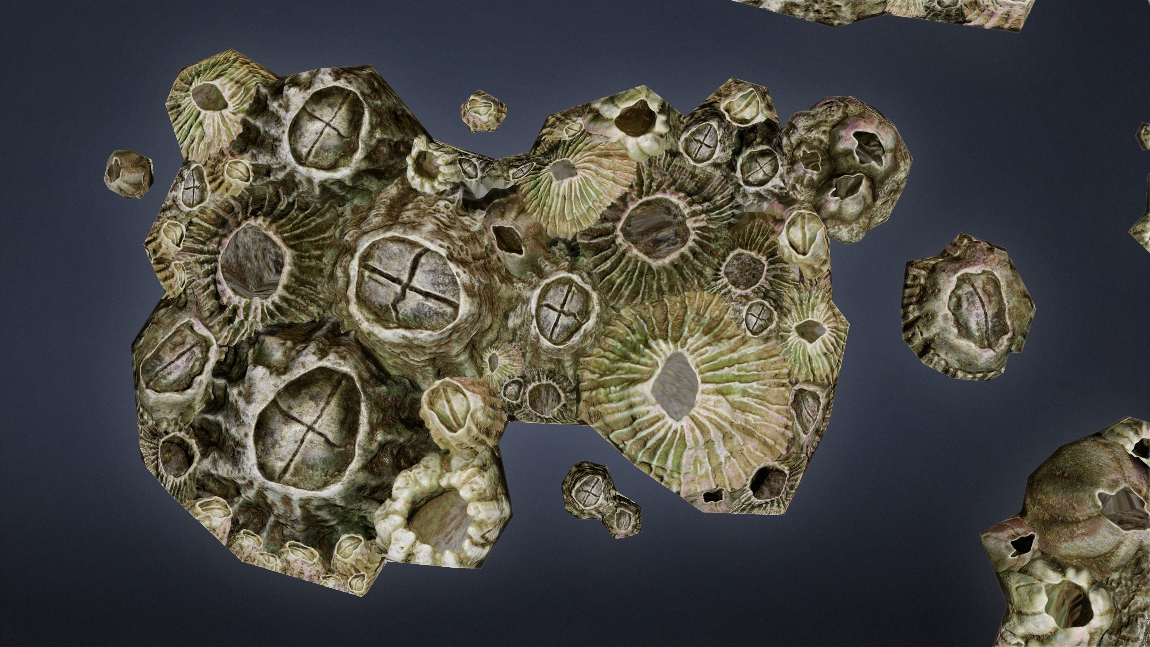 SEASIDE DOCKS - Barnacles 01 - NANITE AND LOW POLY Low-poly 3D model_9