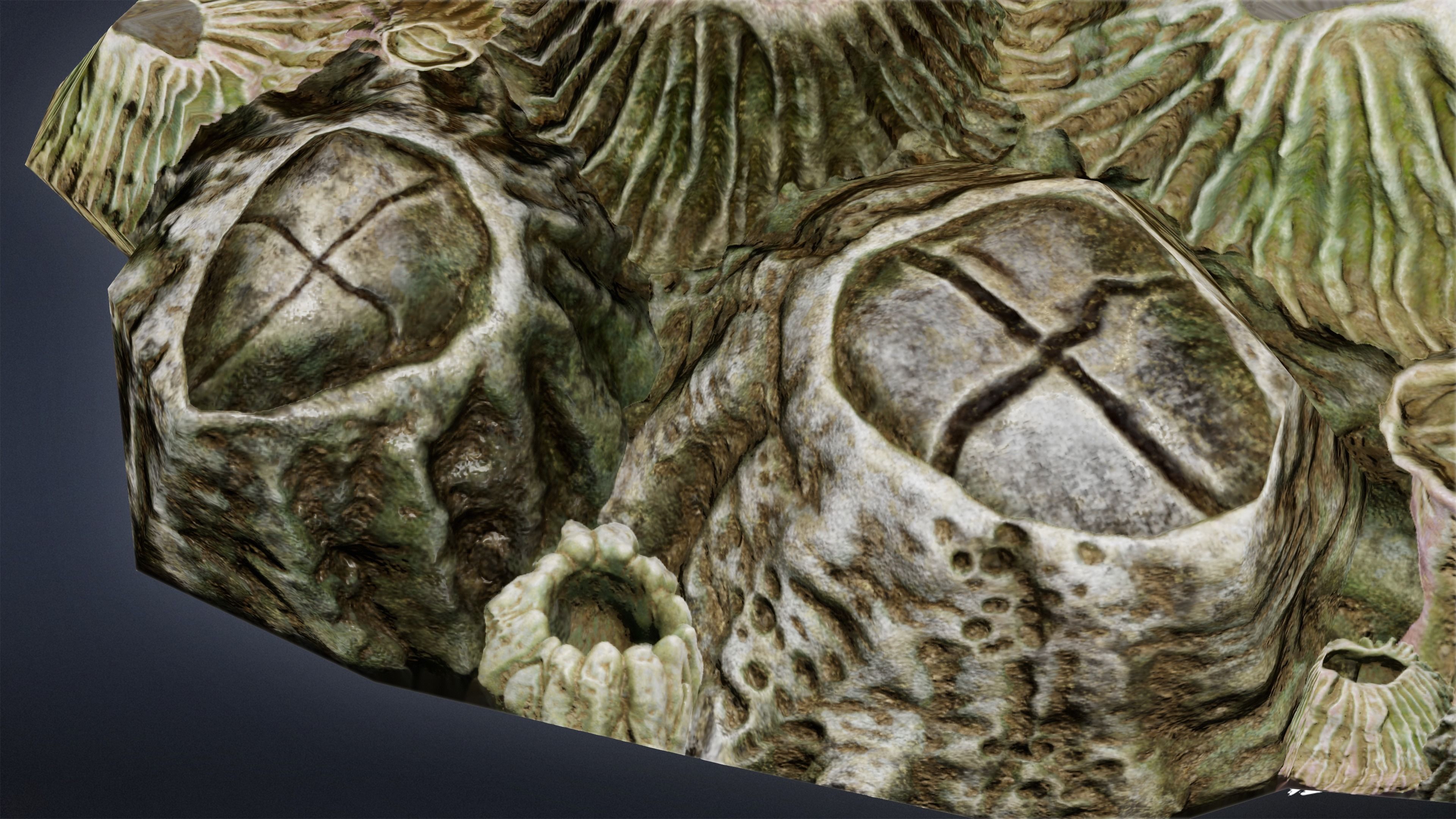 SEASIDE DOCKS - Barnacles 01 - NANITE AND LOW POLY Low-poly 3D model_8