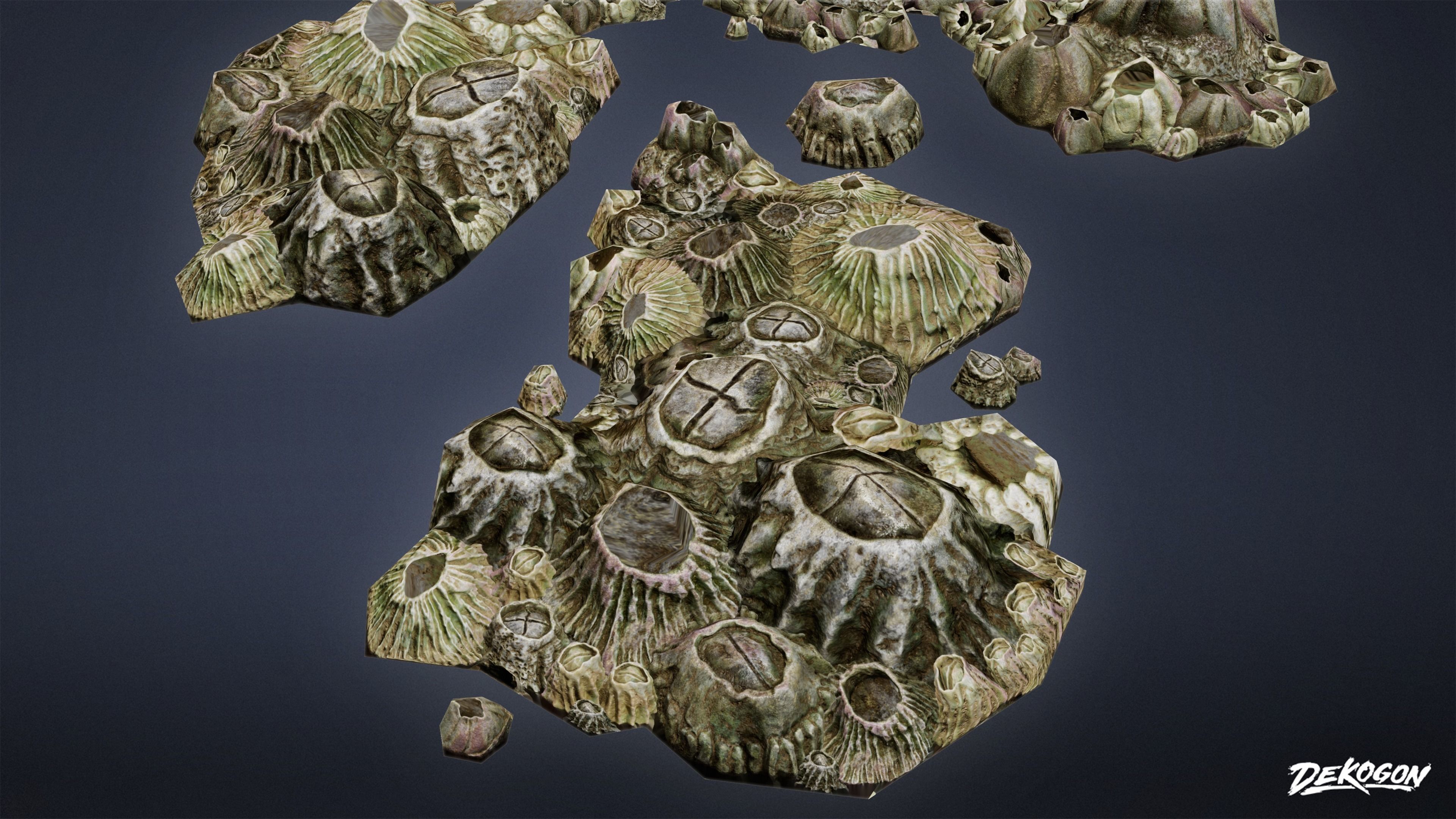 SEASIDE DOCKS - Barnacles 01 - NANITE AND LOW POLY Low-poly 3D model_5