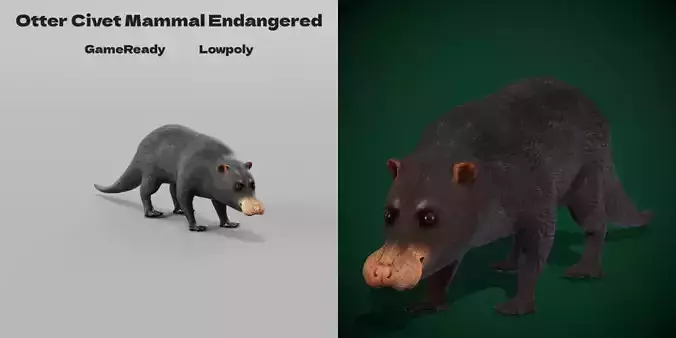 Otter Civet Mammal Low-poly 3D model