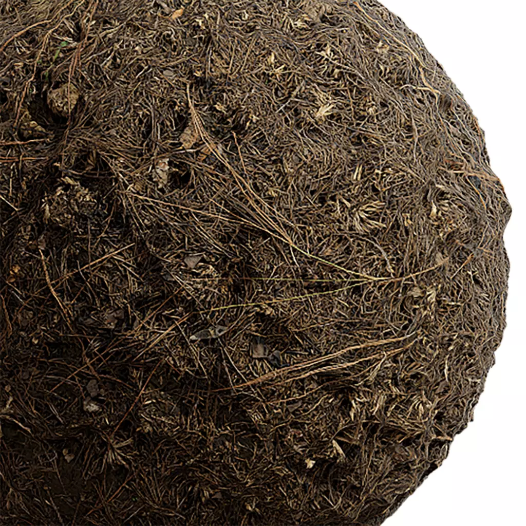 Grass Seamless Texture 2K - EXR 5 - JPG 5 Texture Texture_0