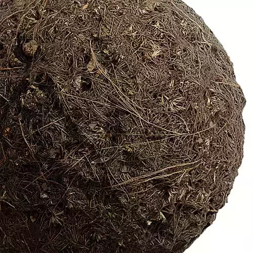 Grass Seamless Texture 2K - EXR 5 - JPG 5 Texture