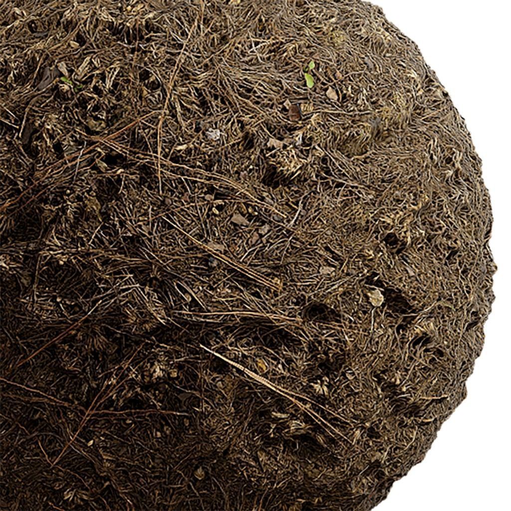 Grass Seamless Texture 2K - EXR 5 - JPG 5 Texture Texture_1