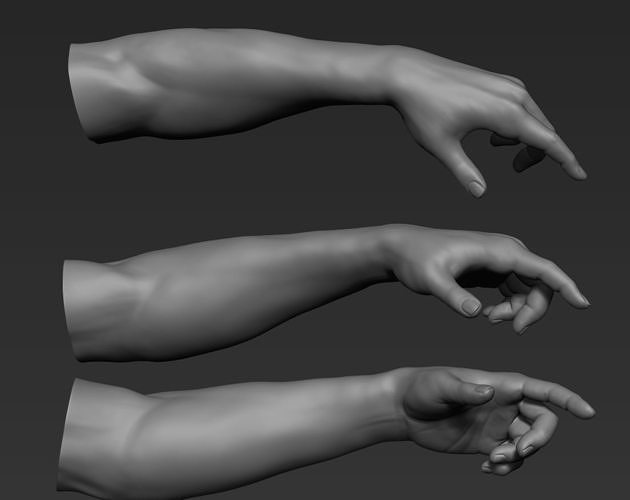 Arm model - 3D Print 3D print model
