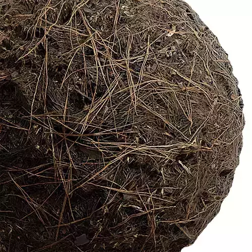 Grass Seamless Texture 2K - EXR 5 - JPG 5 Texture