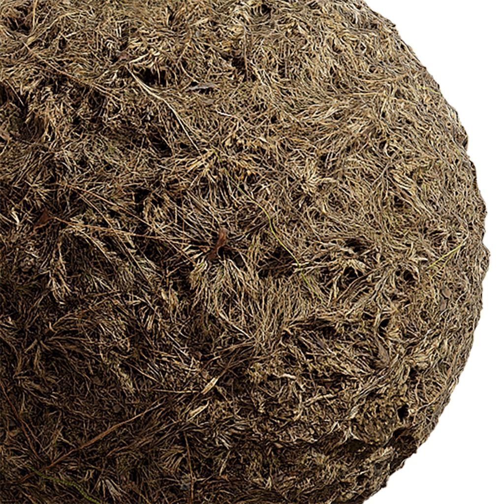 Grass Seamless Texture 2K - EXR 5 - JPG 5 Texture Texture_2