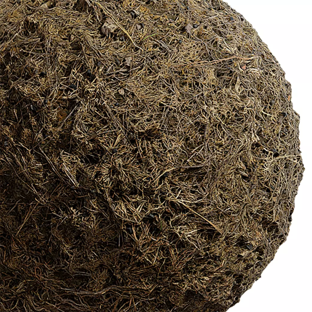 Grass Seamless Texture 2K - EXR 5 - JPG 5 Texture Texture_0