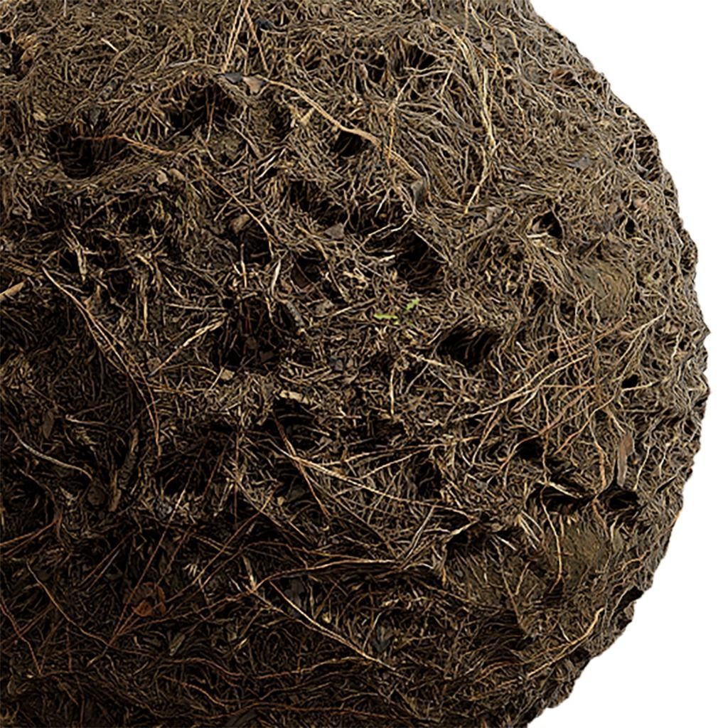 Grass Seamless Texture 2K - EXR 5 - JPG 5 Texture Texture_4