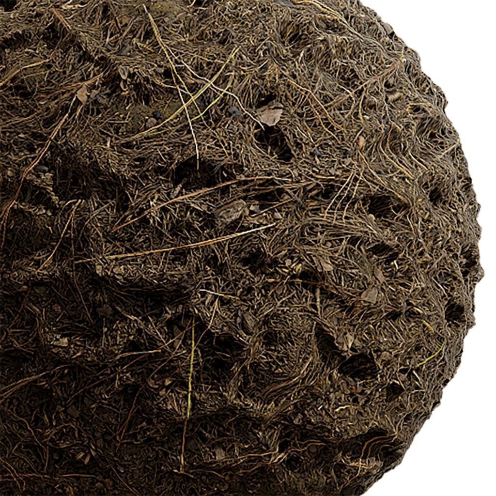 Grass Seamless Texture 2K - EXR 5 - JPG 5 Texture Texture_1