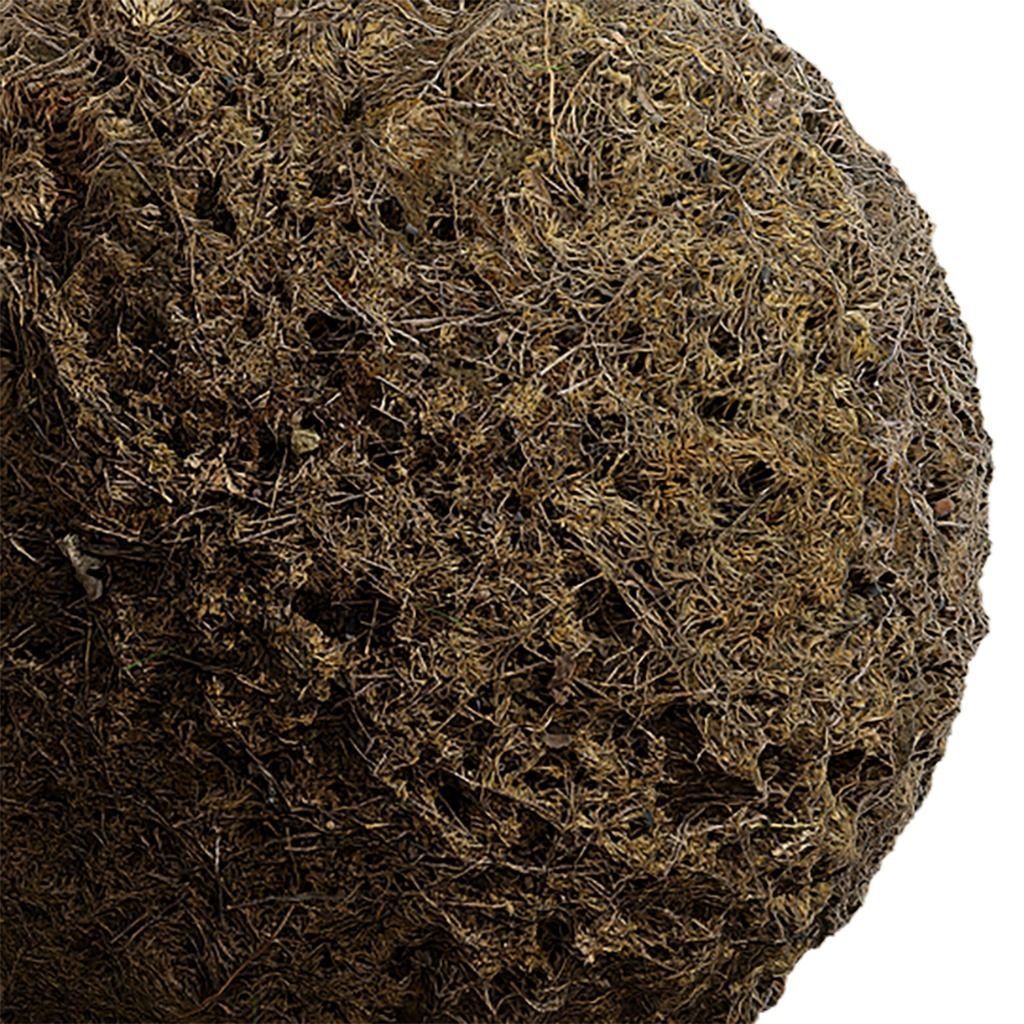 Grass Seamless Texture 2K - EXR 5 - JPG 5 Texture Texture_3