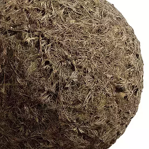 Grass Seamless Texture 2K - EXR 5 - JPG 5 Texture