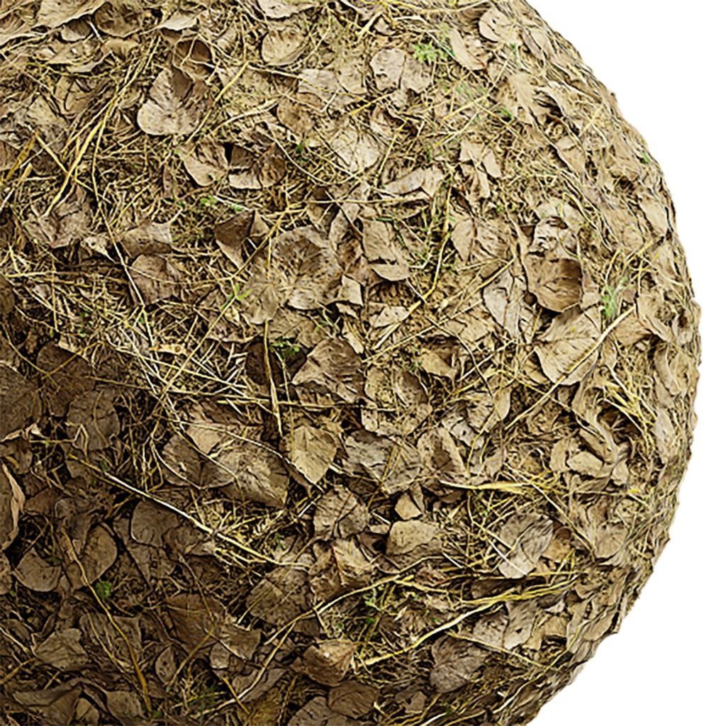 Grass Seamless Texture 2K - EXR 5 - JPG 5 Texture Texture_4