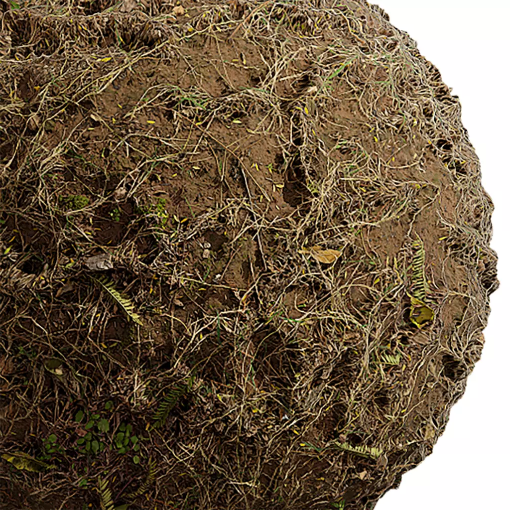 Grass Seamless Texture 2K - EXR 5 - JPG 5 Texture Texture_0