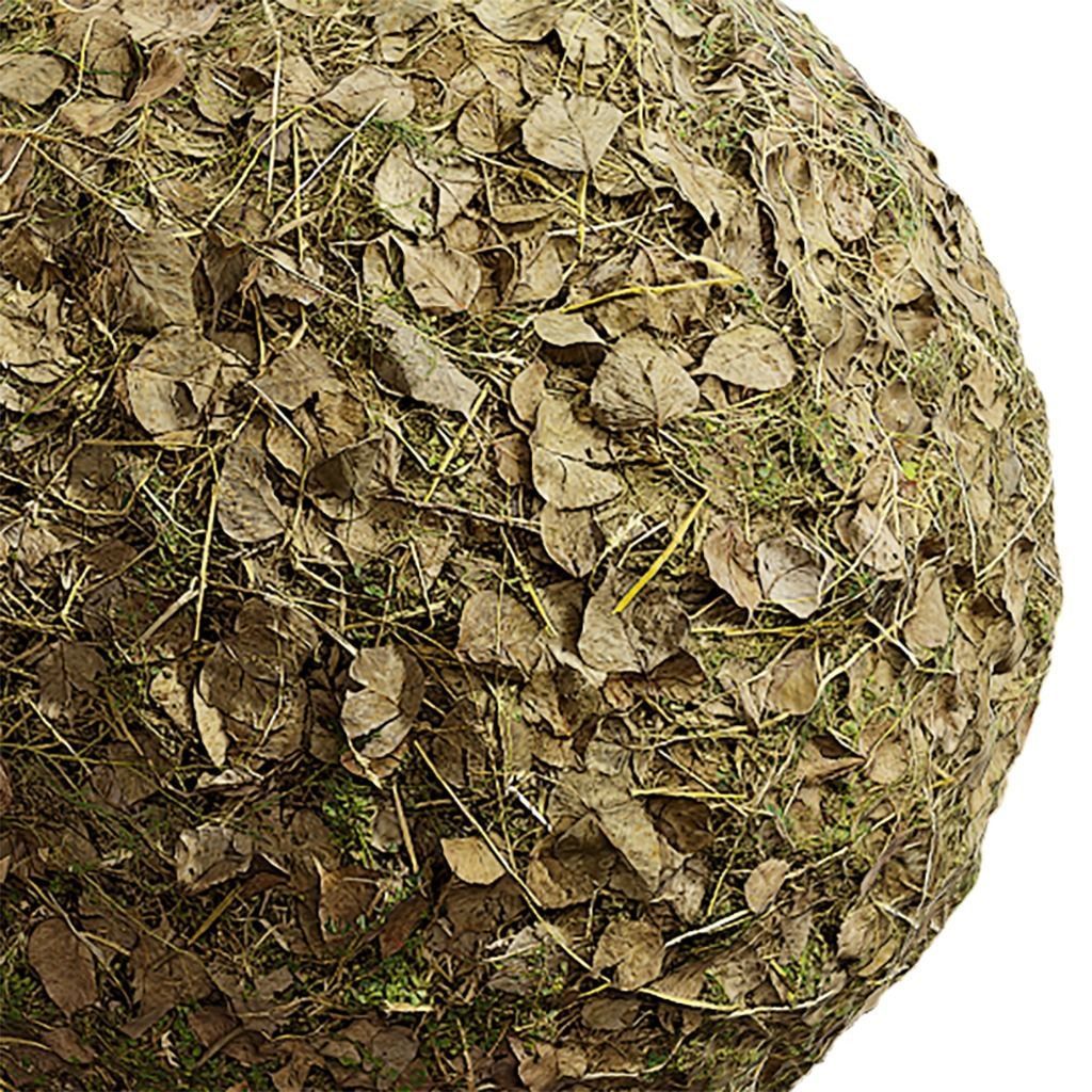 Grass Seamless Texture 2K - EXR 5 - JPG 5 Texture Texture_2