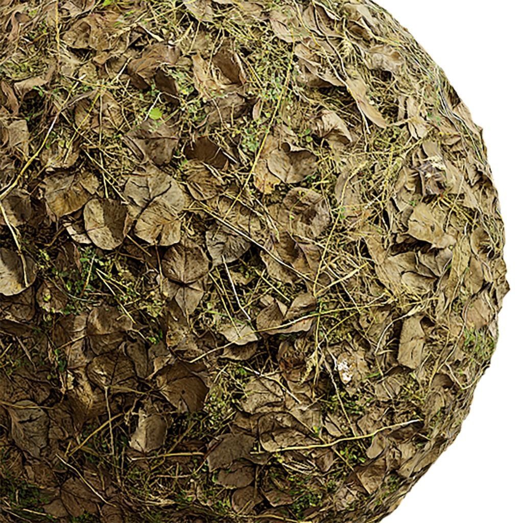 Grass Seamless Texture 2K - EXR 5 - JPG 5 Texture Texture_1