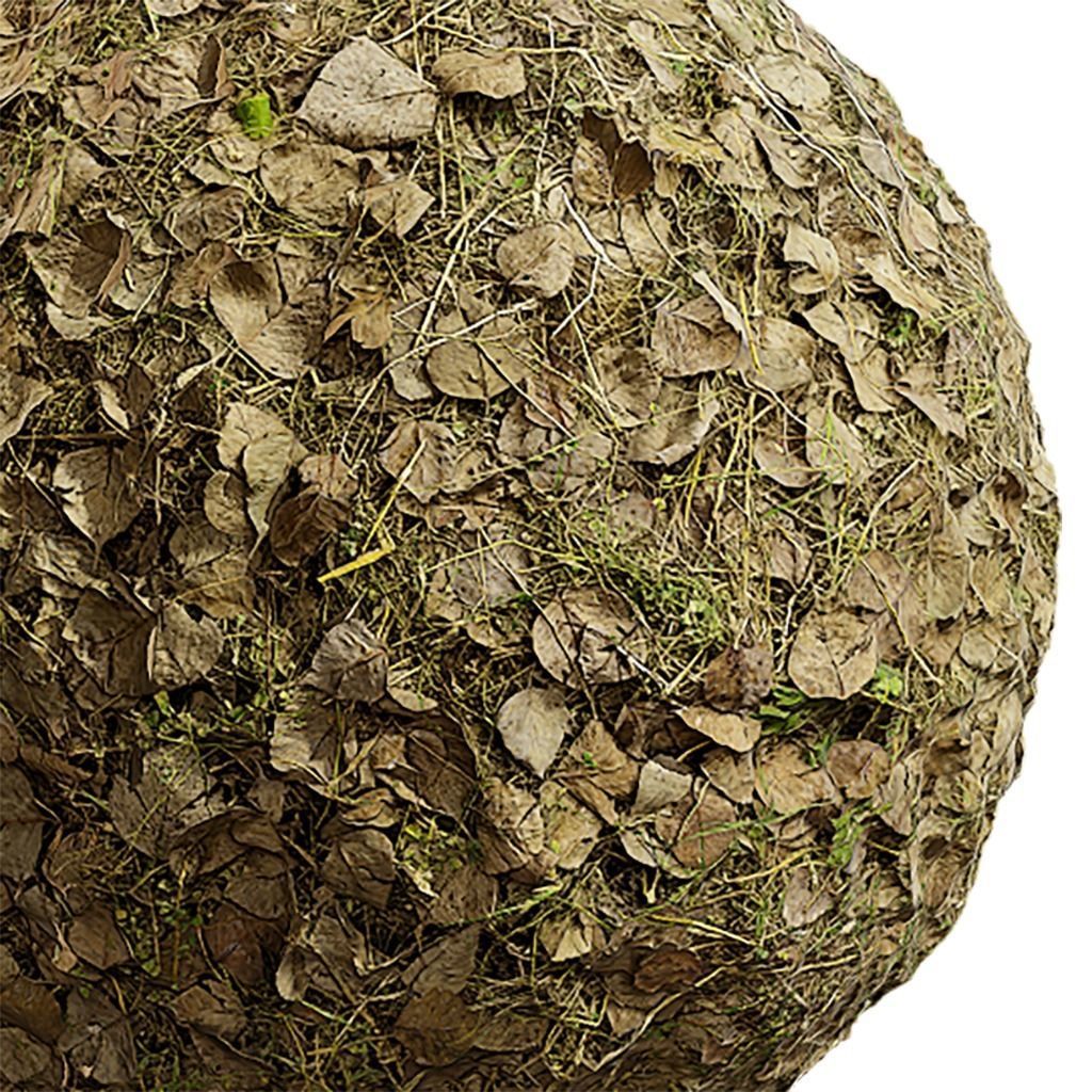 Grass Seamless Texture 2K - EXR 5 - JPG 5 Texture Texture_3