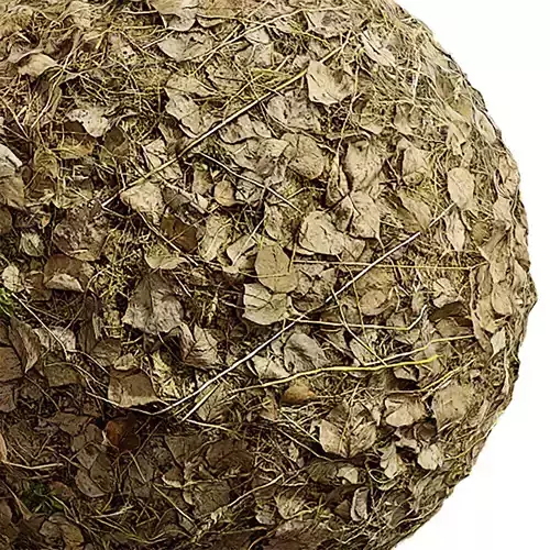 Grass Seamless Texture 2K - EXR 5 - JPG 5 Texture