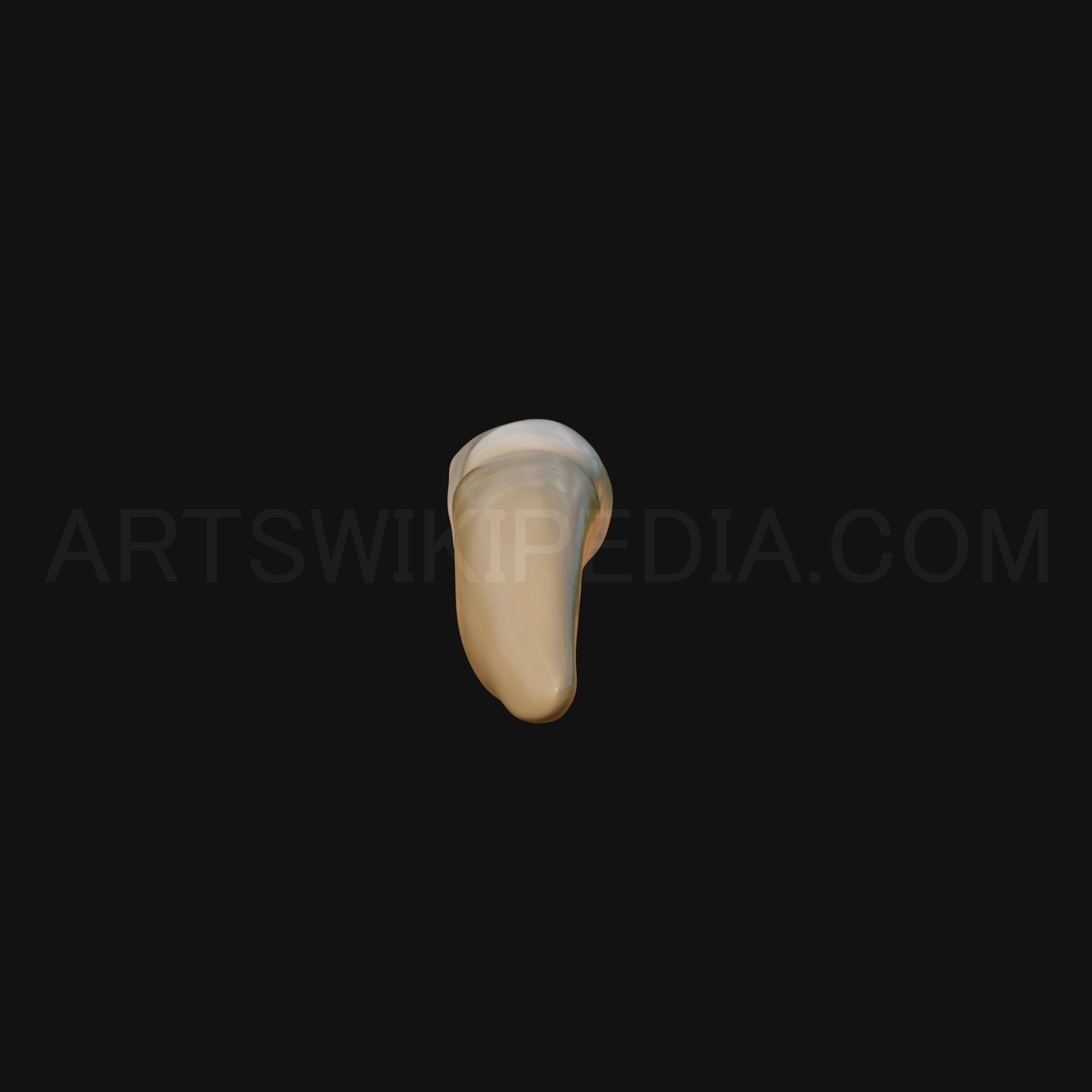 3D Model of mandibular left lateral incisor 3D model_3