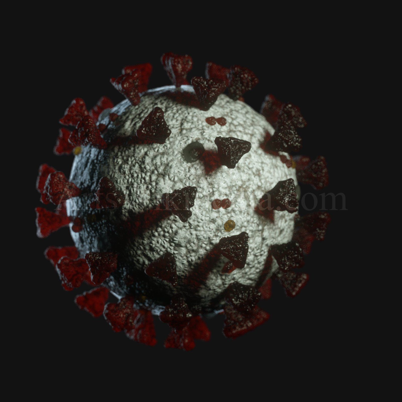 3d SARSCoV2 model 3D model_3