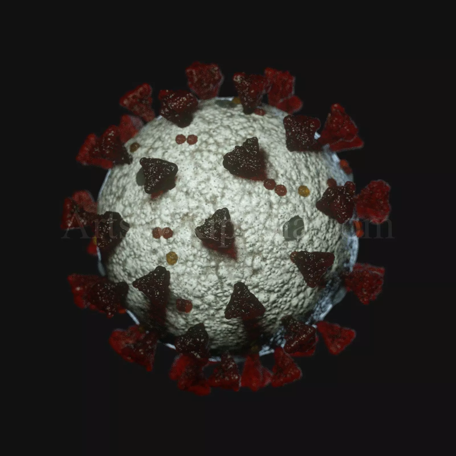 3d SARSCoV2 model 3D model_0