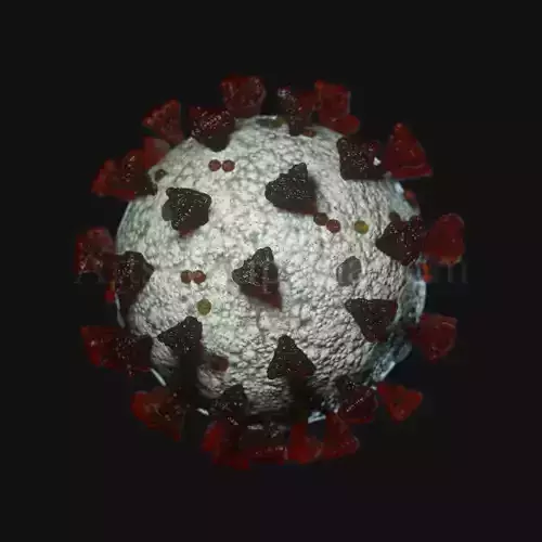 3d SARSCoV2 model 3D model