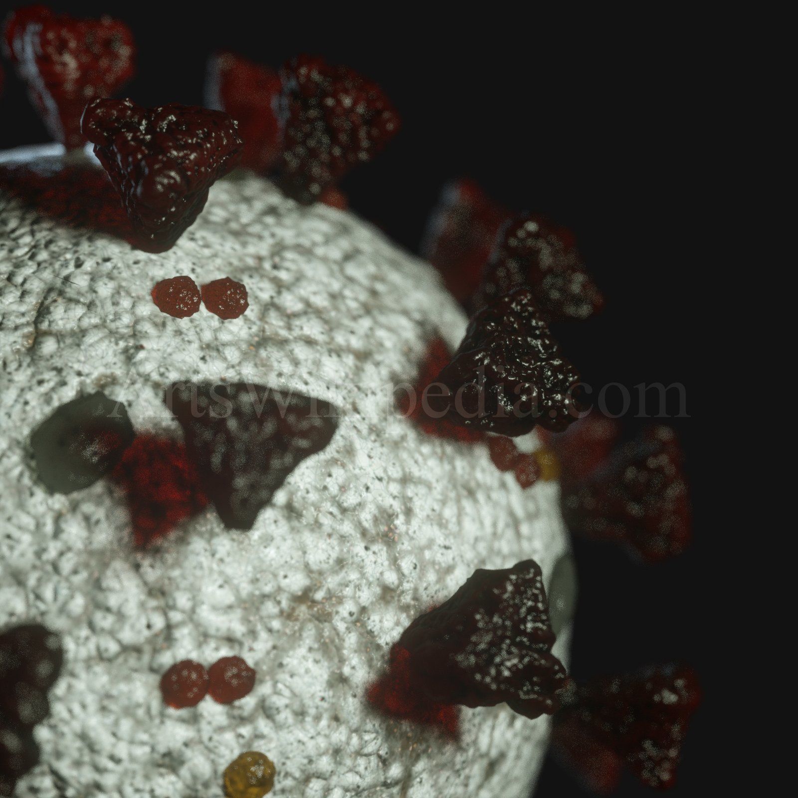 3d SARSCoV2 model 3D model_1