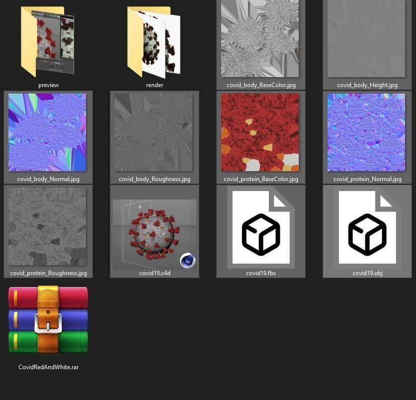 3d SARSCoV2 model 3D model_4