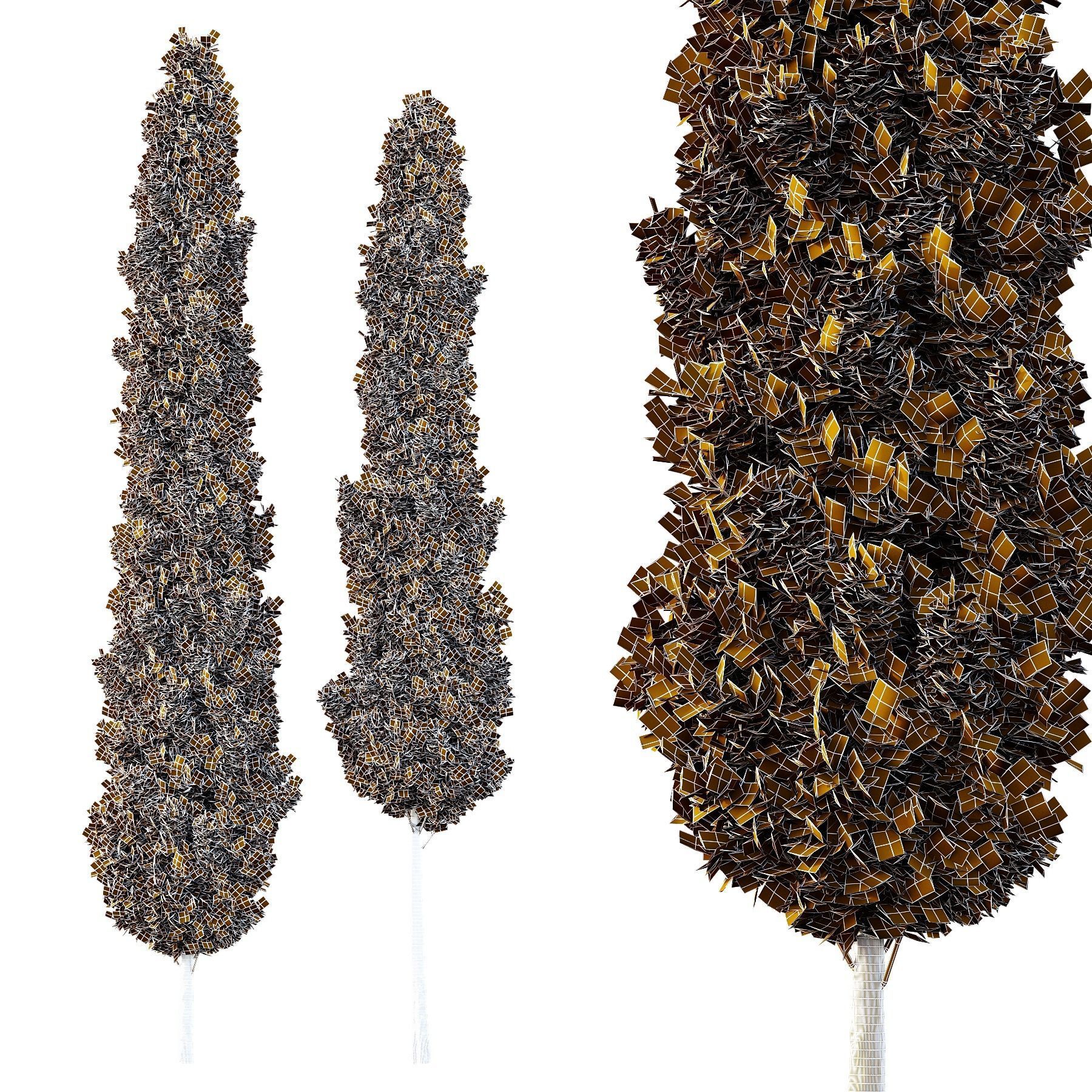 Italian Cypress Tree07 3D model_1