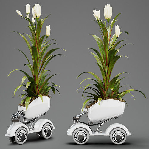 Indoor plant Flower 01 3D model