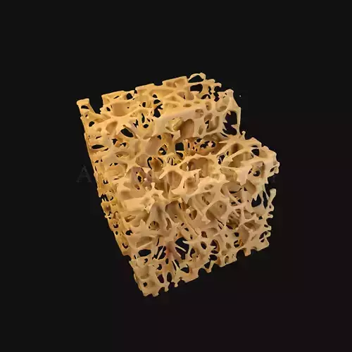 3D Trabeculae of Spongy Bone Osteoporosis Histology 3D model