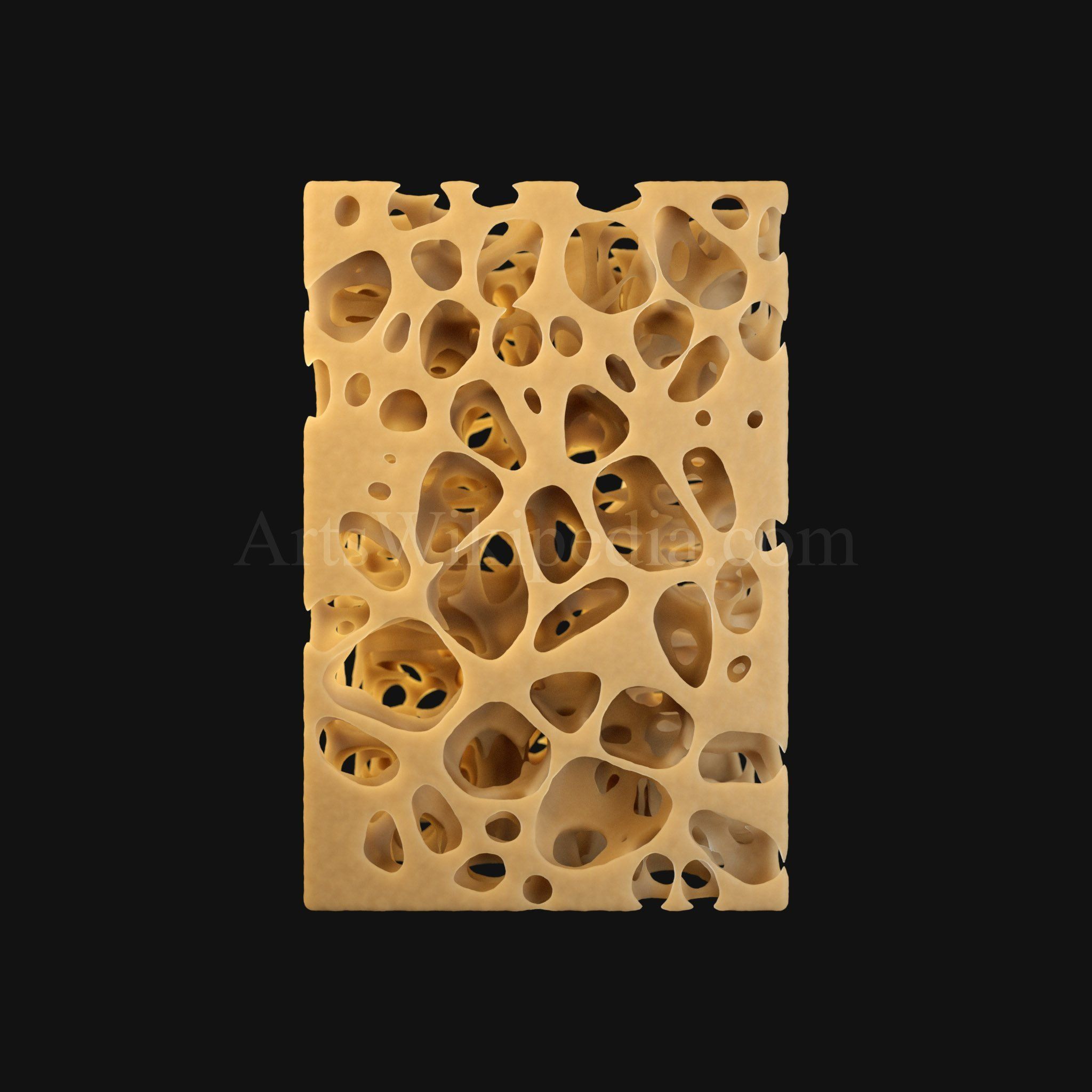 3D Trabeculae of Spongy Bone Normal Histology 3D model_5