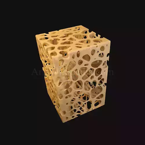 3D Trabeculae of Spongy Bone Normal Histology 3D model