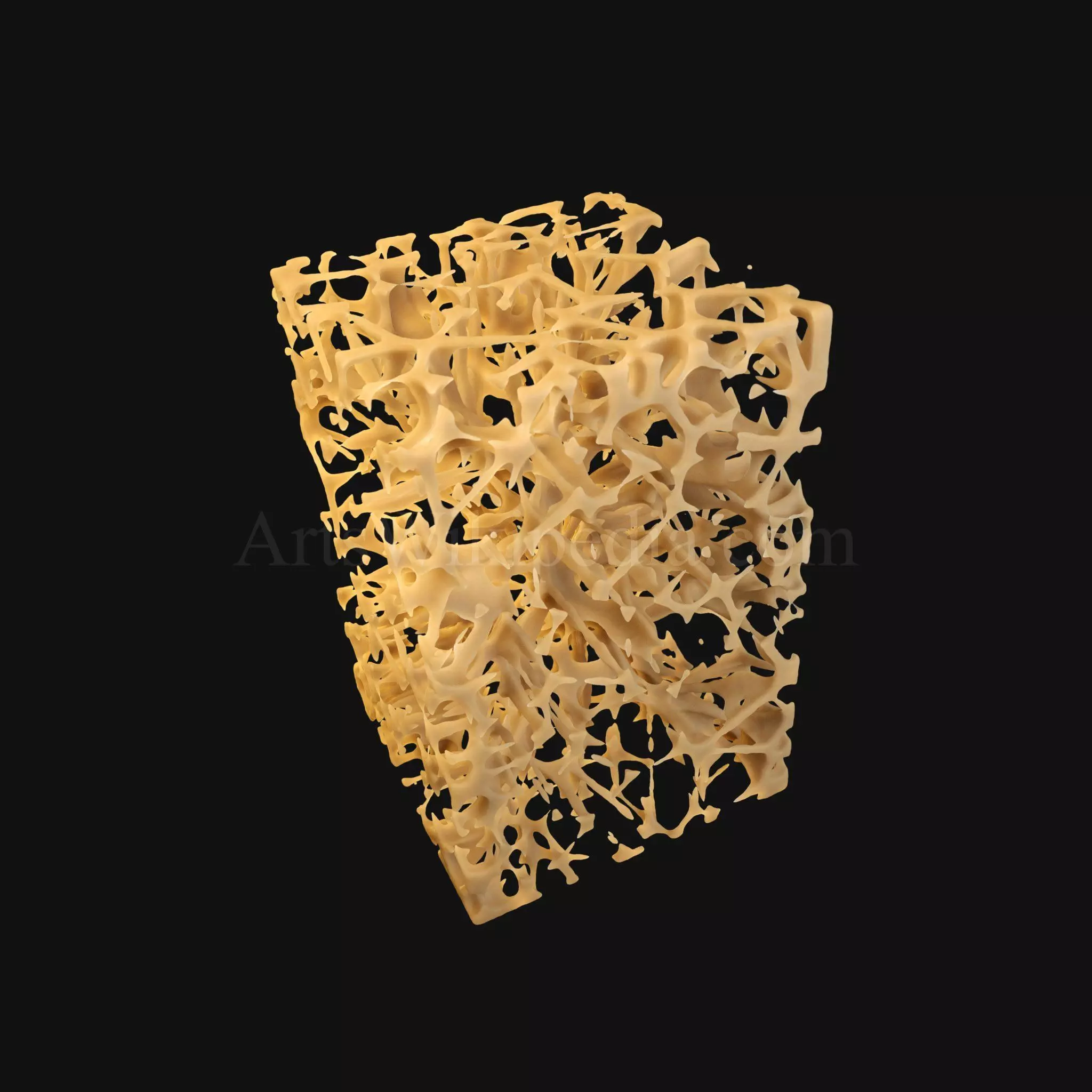3D Osteoporosis Histology of Spongy Bone Structure 3D model_0