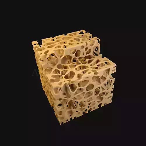 3D Osteopenia Histology of Spongy Bone Structure 3D model