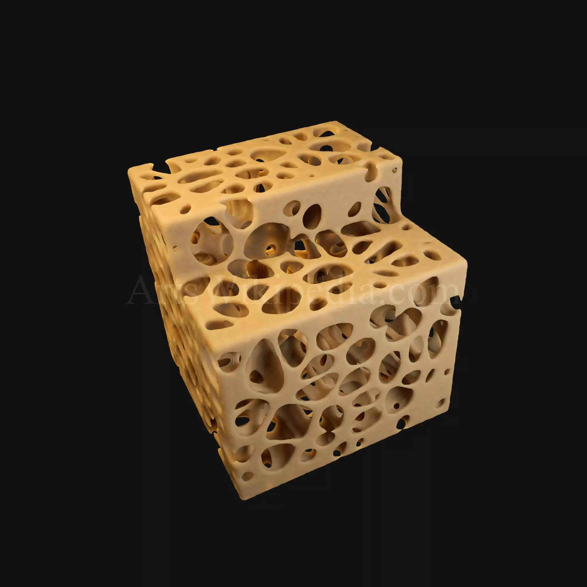 3D Normal Histology of Spongy Bone Structure 3D model_0