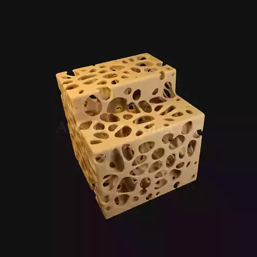 3D Normal Histology of Spongy Bone Structure