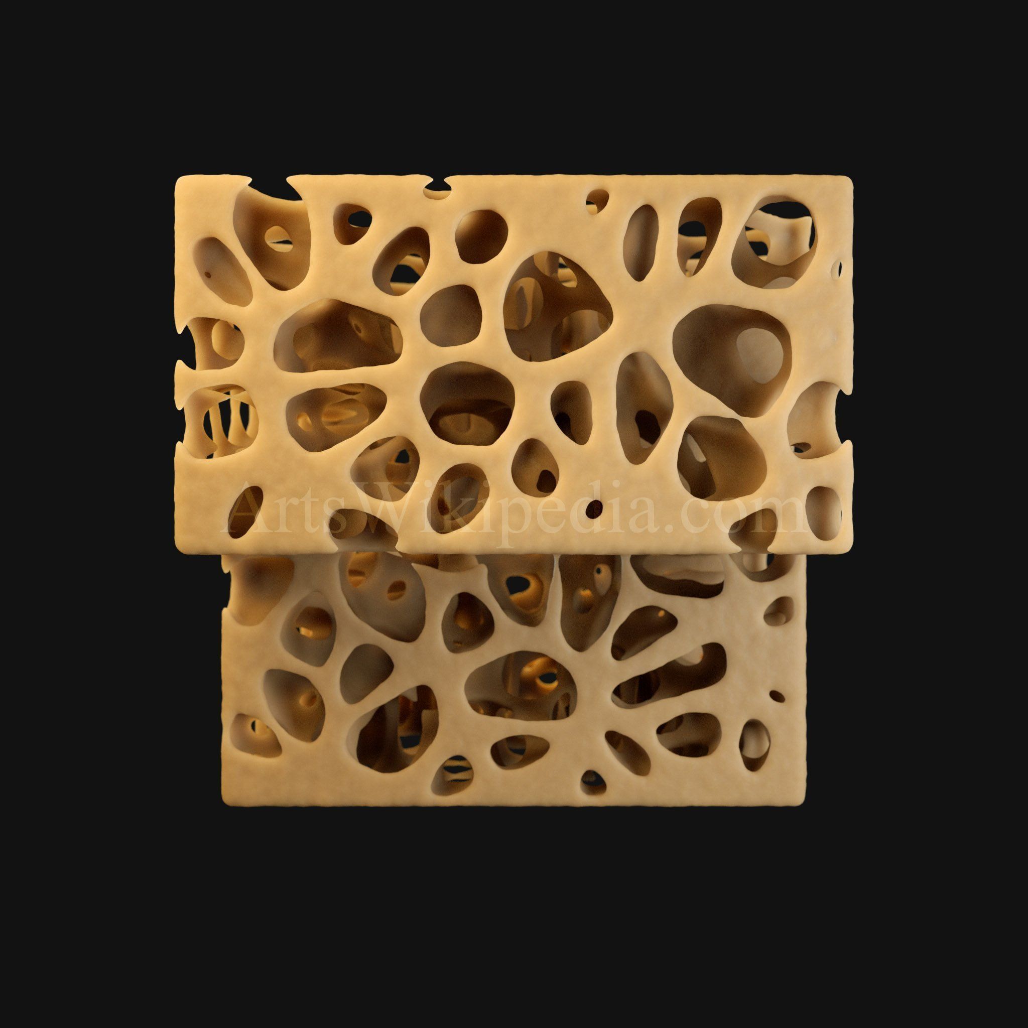 3D Normal Histology of Spongy Bone Structure 3D model_1