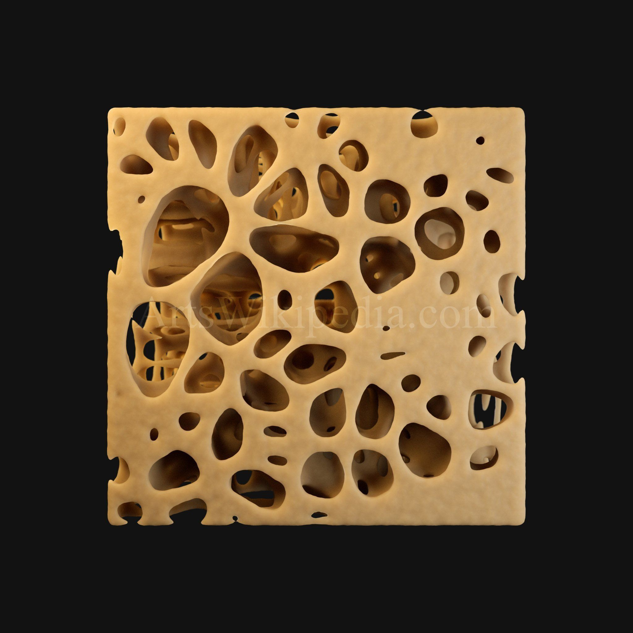 3D Normal Histology of Spongy Bone Structure 3D model_3