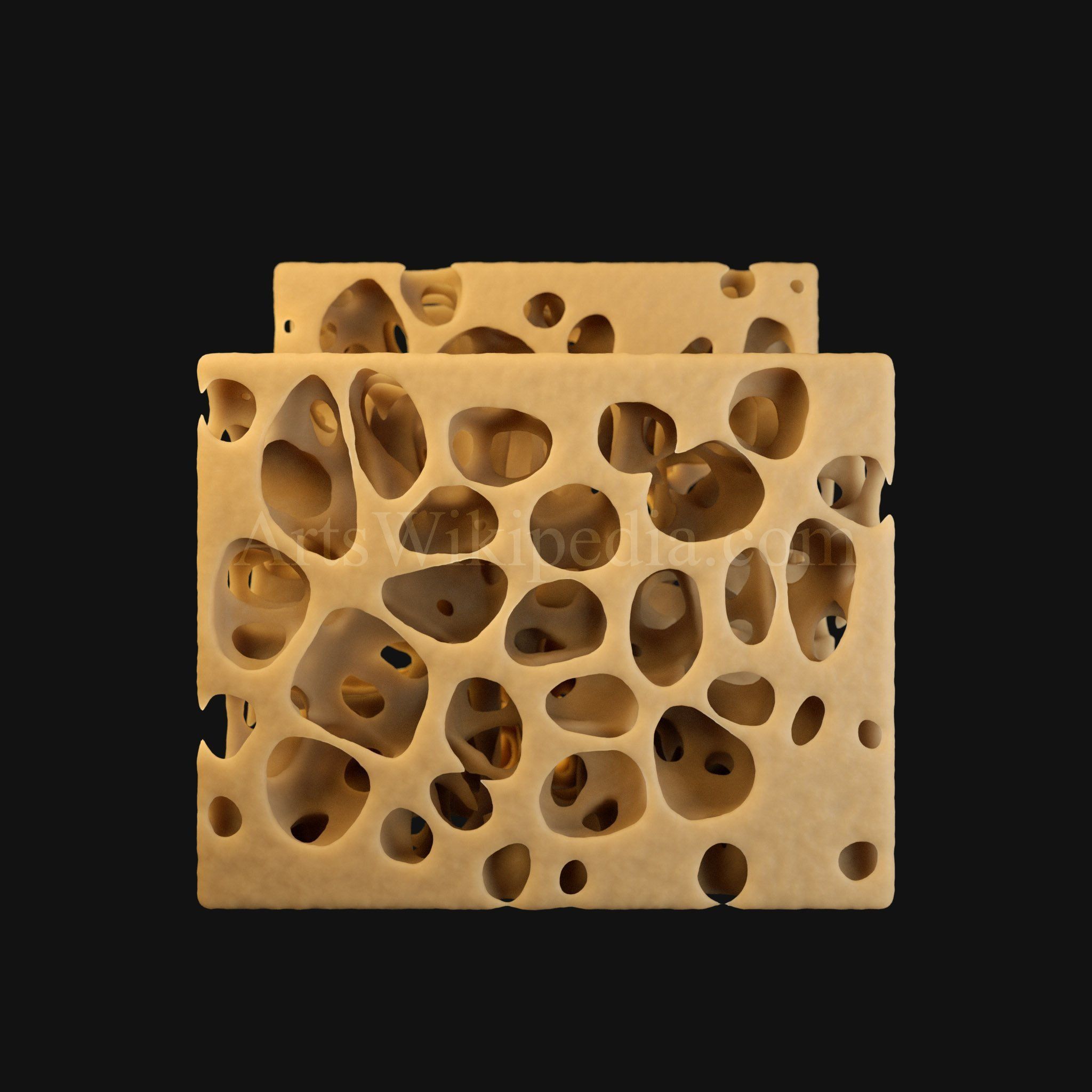 3D Normal Histology of Spongy Bone Structure 3D model_6