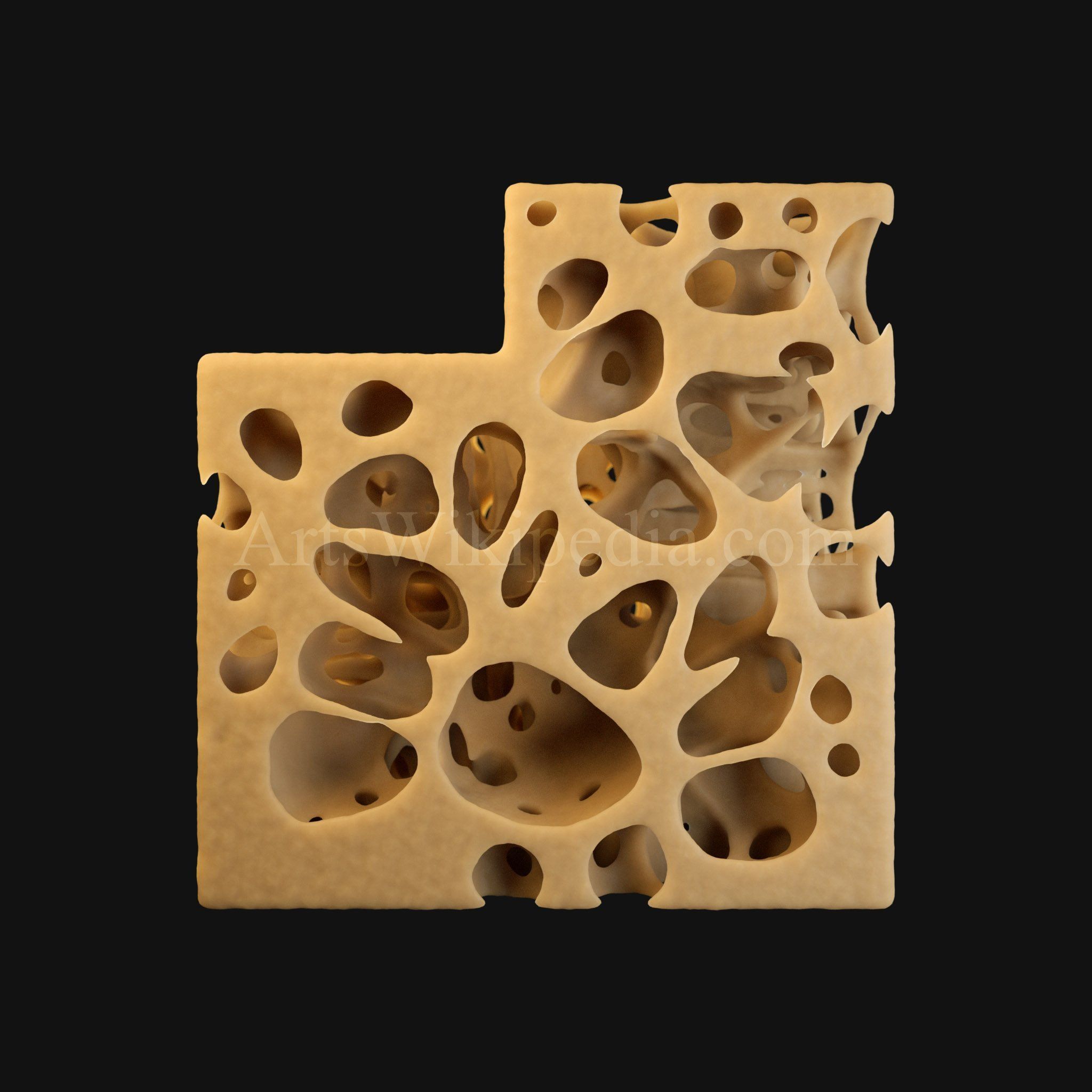 3D Normal Histology of Spongy Bone Structure 3D model_4