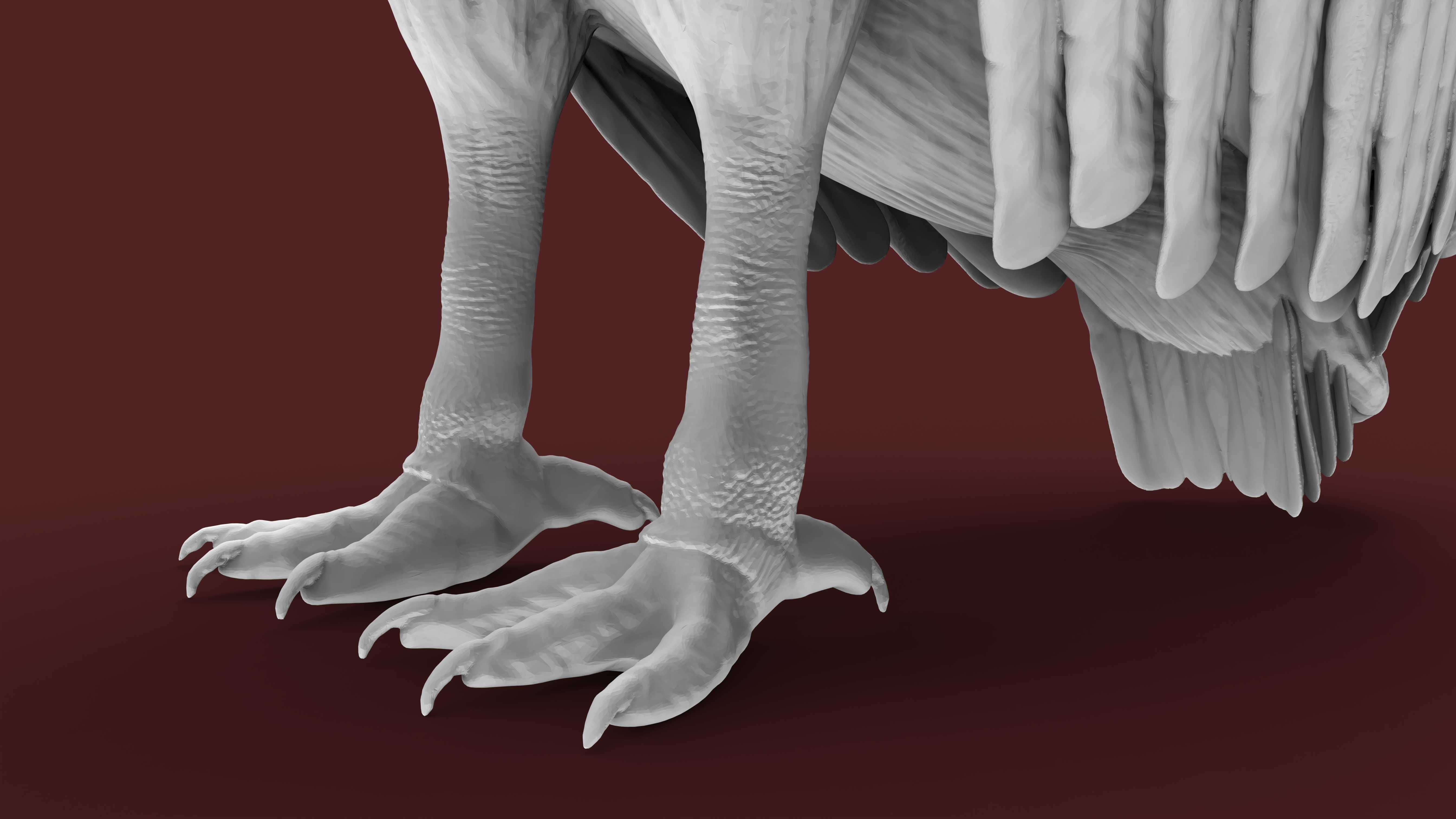 vulture 3D print model_4